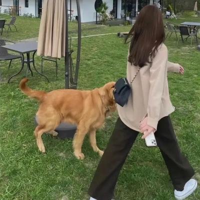 来吃晚饭的人