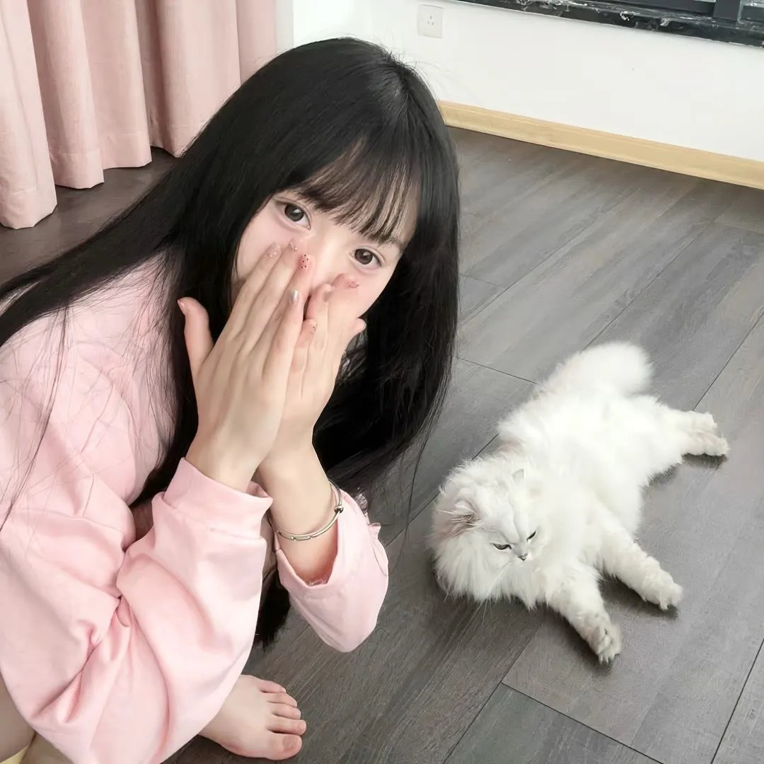 波普先生的企鹅